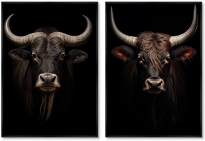 Набор из двух постеров на холсте Young Yaks 75X105 / 75X105 CM