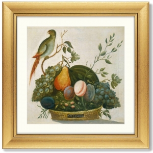Постер Basket of Fruit with Parrot 61X61 CM