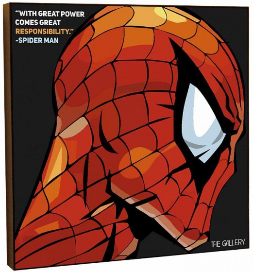 Постер Spiderman 50X50 CM 1